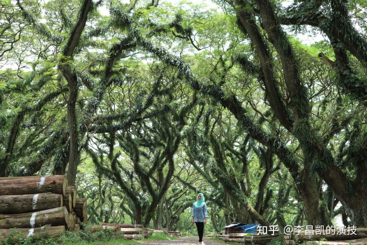 买房交契税需要带什么材料？新房交契税需要带什么材料？