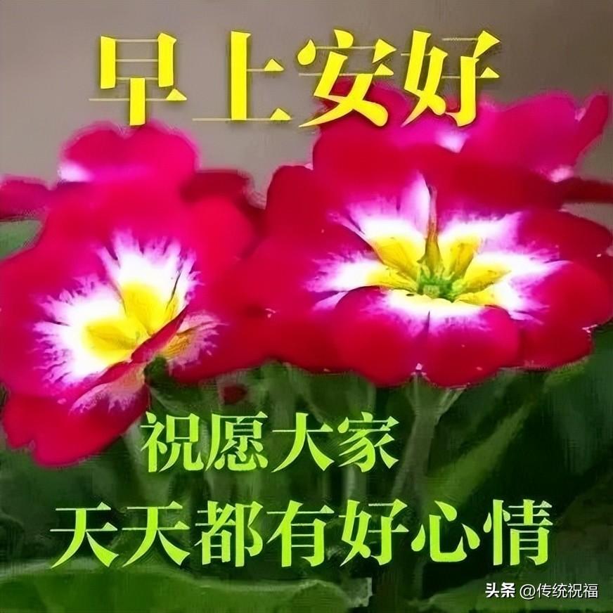 祝你开心每一天的图片，早上好祝福你开心快乐每一天