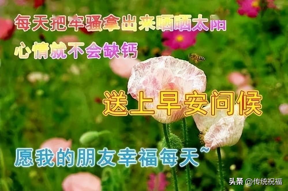 祝你开心每一天的图片，早上好祝福你开心快乐每一天