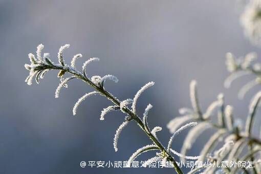 平安小顽童意外险停售，小顽童少儿意外险怎么样？