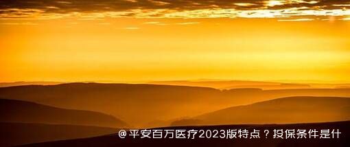 平安百万医疗2023版特点？投保条件是什么？