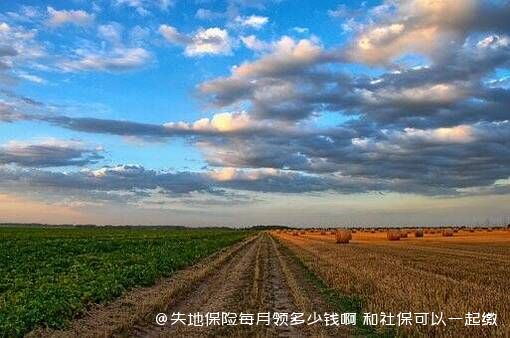 失地保险每月领多少钱啊 和社保可以一起缴纳吗 