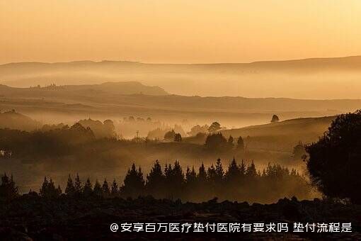 安享百万医疗垫付医院有要求吗 垫付流程是怎样的 