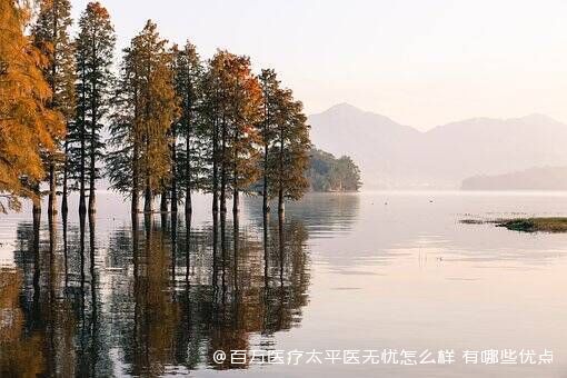 百万医疗太平医无忧怎么样 有哪些优点 