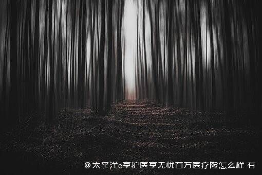 太平洋e享护医享无忧百万医疗险怎么样 有必要购买吗 