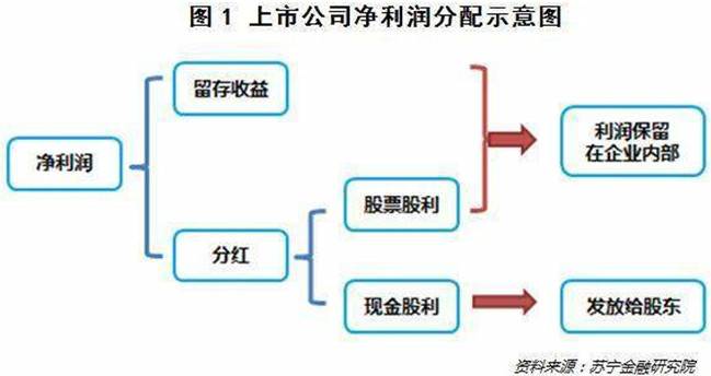 分红配股是什么意思？股票分红是什么？