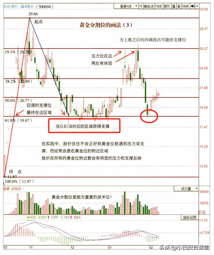 黄金分割点（黄金分割位的画法及分析原理）