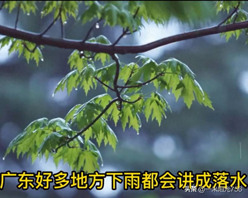 猪笼入水什么意思？