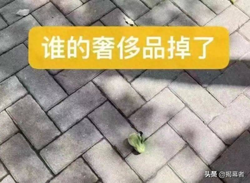 华宝油气股票看哪个？