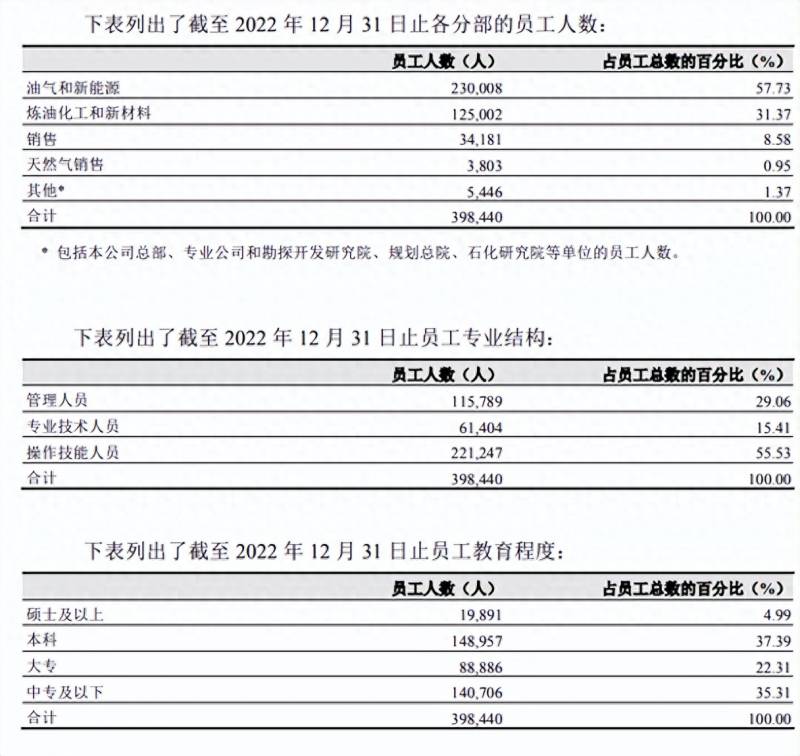 中国的石油行业上市公司有哪些？