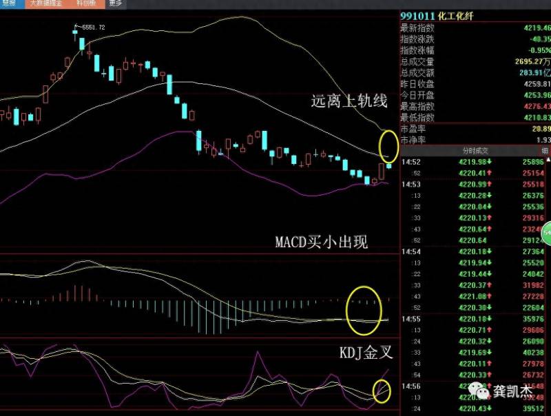 浙江龙盛股票为什么跌？