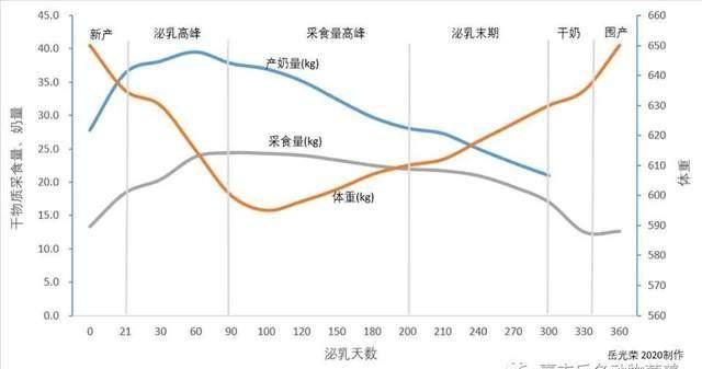 一头奶牛多少钱？