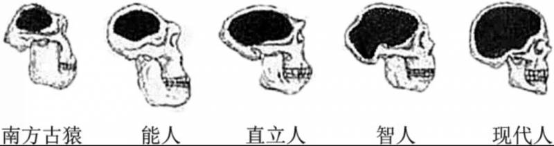 长江存储有哪些股票代码？