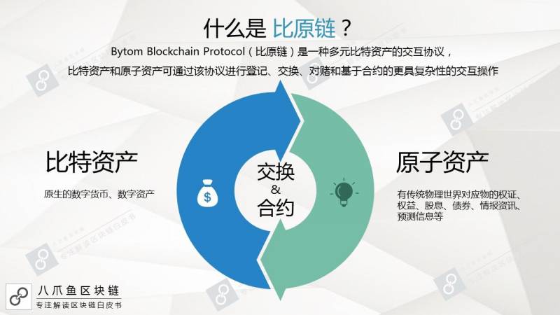 量子链和比原链哪个好？