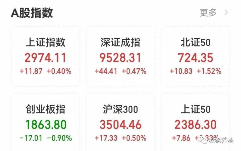 中证500的股票怎么样？