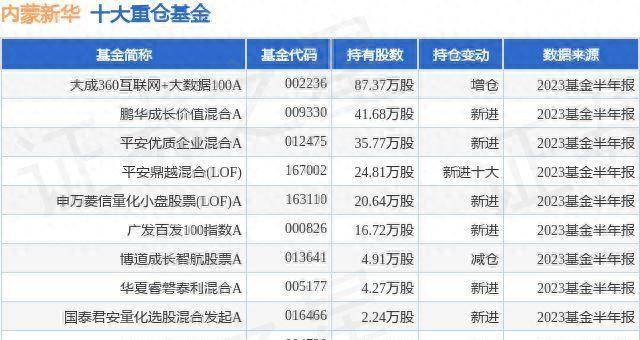 大成300基金