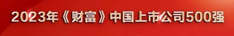 宁波有哪些上市公司是500强？