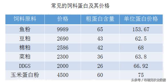 菜籽粕蛋白含量多少？