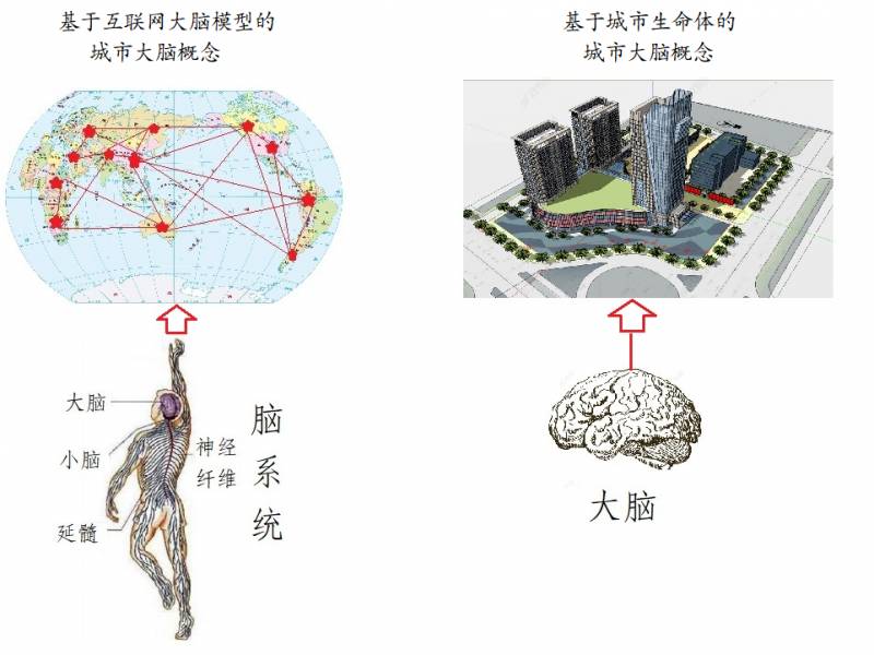 城市大脑是什么意思？