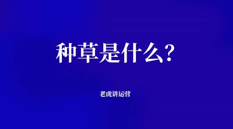 小红书种草什么意思？