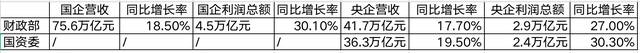 中国电力国际有限公司是什么级别的单位？