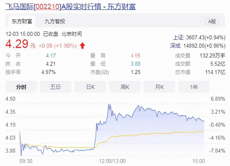 002210飞马国际这几天会涨吗？