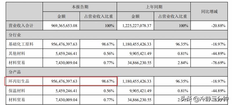 002165红宝丽是做什么的？