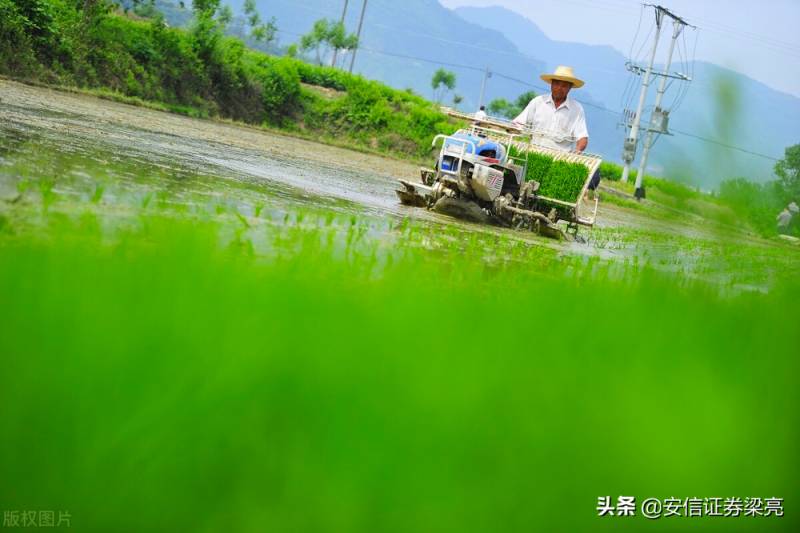 农发种业股票前景如何？