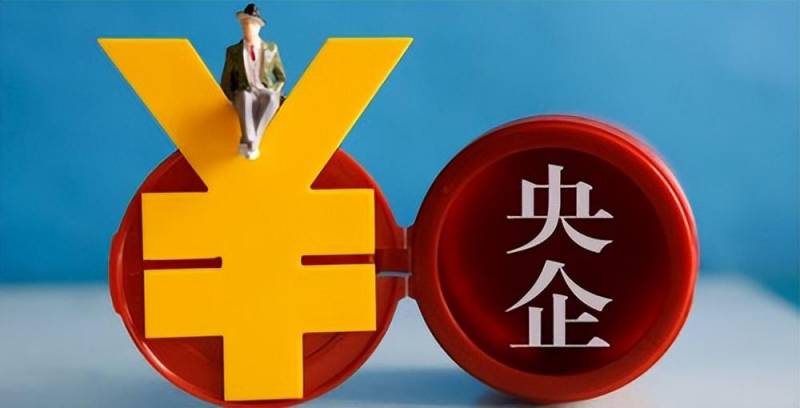 中成股份有限公司是国企吗？揭开公司性质的疑问迷雾。