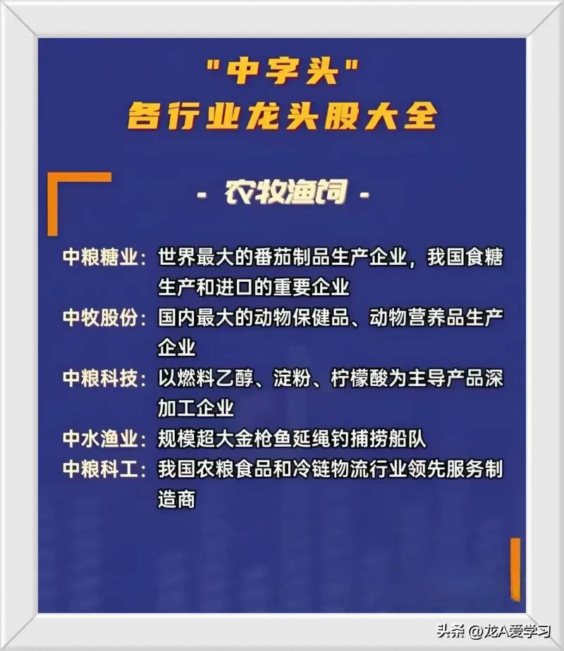 广东国企改革概念股票有哪些，关注这些企业动向