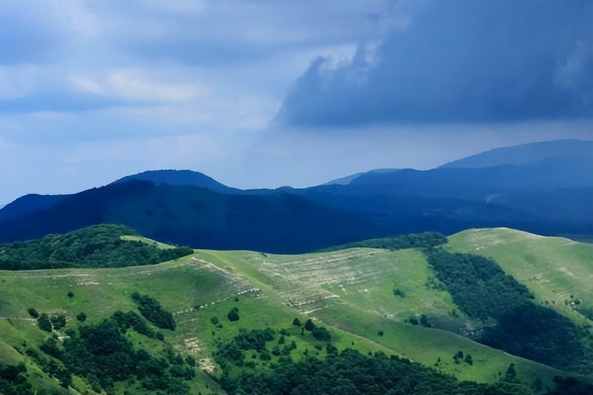 可以异地退保吗？异地退保可以全额退吗怎么办？可以异地退保吗？异地退保可以全额退吗？